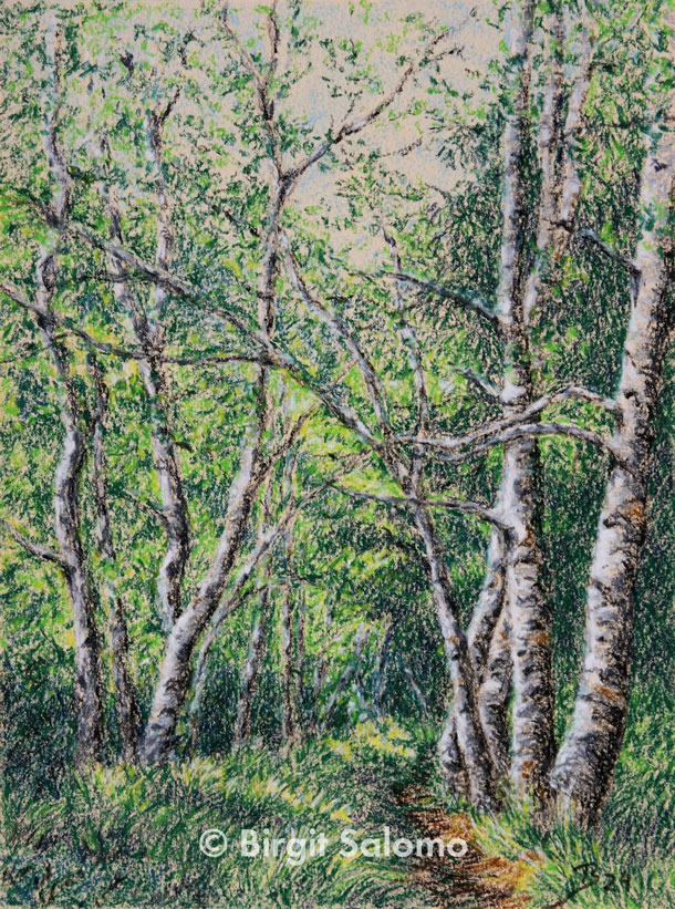 Birkenwald
