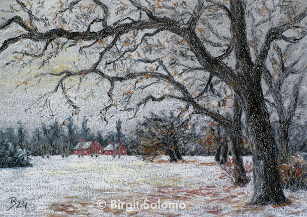 Neuer Garten im Winter, Potsdam